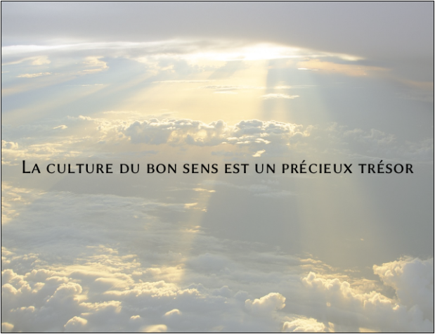 la_culture_du_bon_sens_est_un_precieux_tresor