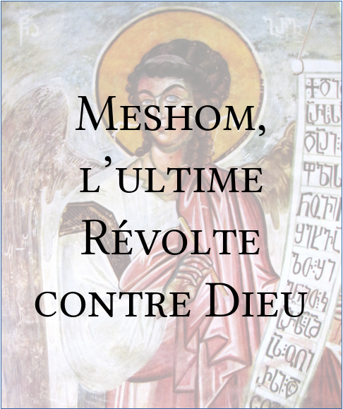 Meshom, l’ultime révolte contre Dieu - Page 12 Meshom_l_ultime_revolte_contre_dieu_pere_nathan